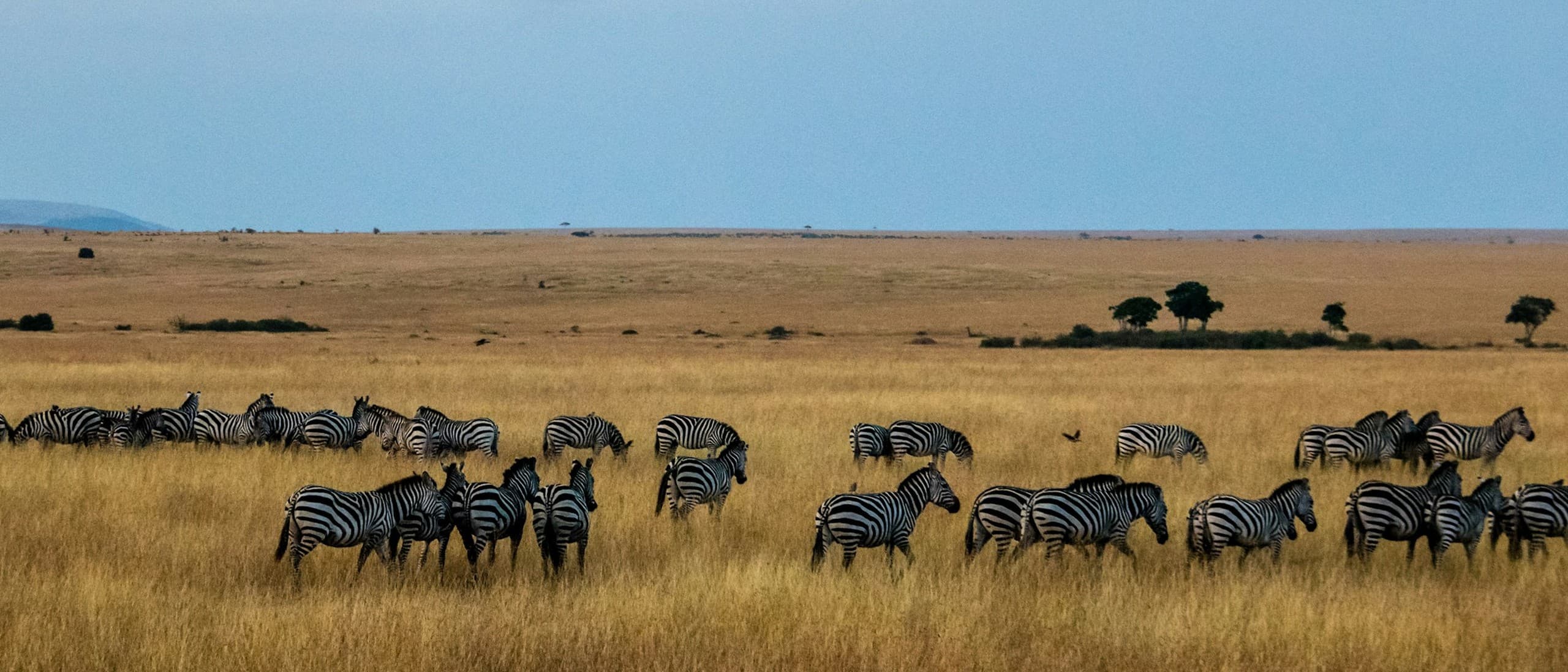 Kenya