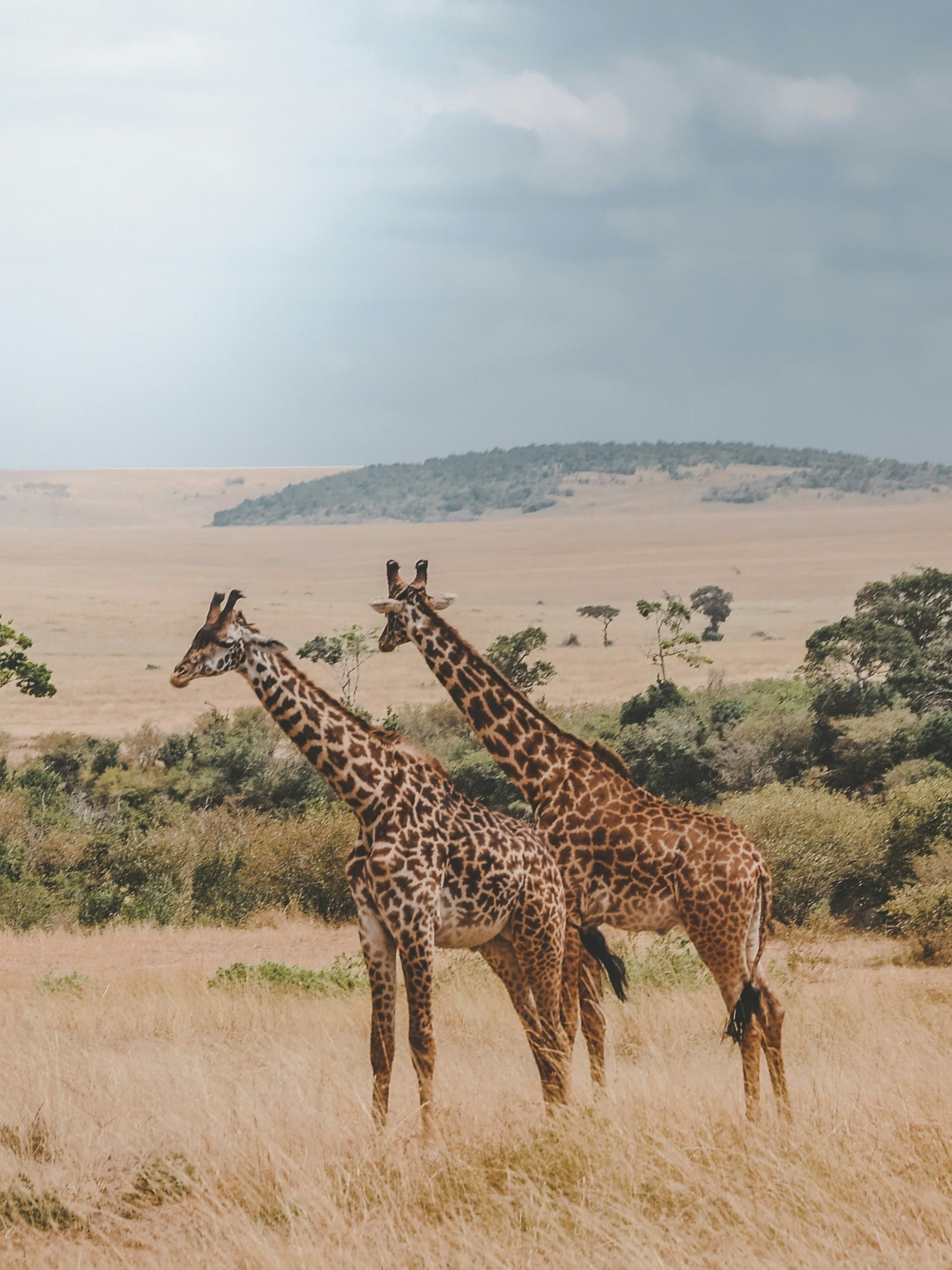 Kenya